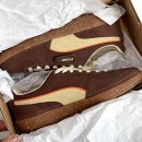 데일리에스프레소 이미지