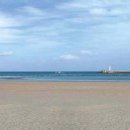 표선백사로 이미지