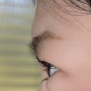 귀빈 | 안 해도 된다고 말리는 데도 우겨서 한 수영구 속눈썹펌 후기 (귀빈점)