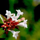 서천공원 이미지