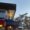 신돌고래 이미지