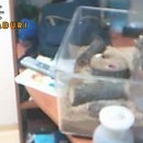 유영태농장 Daum카페