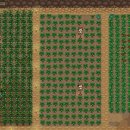 세빈농장 이미지