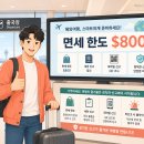 한도가축약품 | 해외여행 귀국 시 반입 제한 품목 총정리: 면세 한도부터 검역 금지까지 완벽 가이드