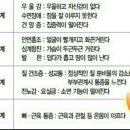 쥬단학 이미지