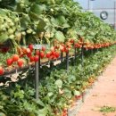 동빈농장 이미지