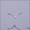 안산천2 이미지