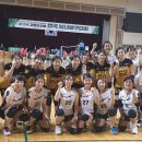 고창체육관 Daum카페