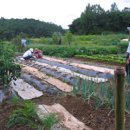 정구농장 이미지