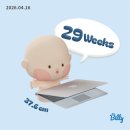 아기와 만나는 순산요가 | 하이디라오 임산부혜택 28주 입체초음파 후기
