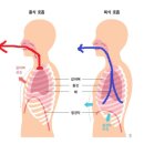 몰리짐 장기점 이미지