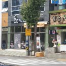 팔공티(PALGONG TEA) 이미지