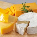 임실N치즈축제 제전위원회 이미지