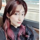 필리아 헤어 이미지