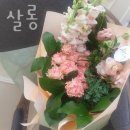 비부스