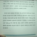 추바우