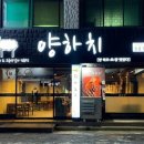 양하치
