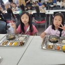 빛고을노인건강타운 | 빛고을노인건강타운(특별한 소풍의 날)