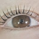 (주)시고디자인 이미지