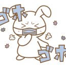 우사기짱