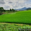 으뜸농약 이미지