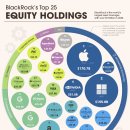 BlackRock의 상위 주식 보유 주식 시각화 이미지