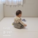 아이팜 폴더매트 후기, 카페트 대신 층간소음 아기 놀이매트 선택 이유