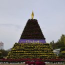 유성국화축제-25.10.21. 이미지