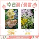 서울한영대학교 이미지