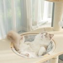 오로라 캣 이미지