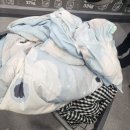 용암동 빨래방 워시팡팡 셀프빨래방 최고 용정점
