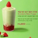 투썸플레이스 터미널점 이미지