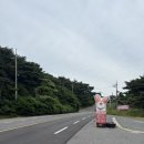 [태안 애견동반 맛집] 안면도맛집 박대박맛집후기 | 태안 애견동반 여행,반려견 동반식당 추천