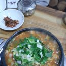 부산 연제구 거제리 부산시청 원조메기탕 후기