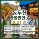 캠프보산 월드푸드스트리트 | 동두천 가볼만한곳 베스트 20