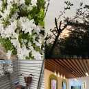 초월고등학교 | 브리짓 존스 일기 시리즈 찐팬의 영화 &lt;브리짓 존스의 일기: 뉴 챕터&gt; 극장 관람 후기(스포 있음)