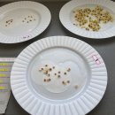 호기심과학실험 이미지