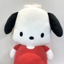 (주)마이씨에스 이미지