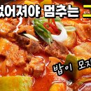 살찌개 이미지