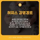 녹양돌봄동물병원 이미지