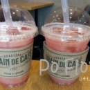 뚜레쥬르충청북도증평점 이미지