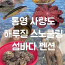 사량도의아침펜션 | 통영 해루질 스노쿨링 뿔소라 문어 잡은 곳 사량도 펜션 섬바다