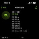 욜리욜리