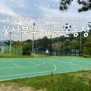 효문다목적구장 이미지