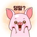 경수메디컬 이미지