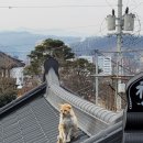 구 영주역 5호 관사 이미지