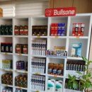 비손모터스 이미지