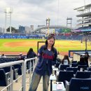 엔씨타워 | 창원엔씨파크 주차 꿀팁마산야구장 주차장 NC파크 만차