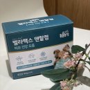 신진덴탈 | 강아지 치아 관리 하기 - 벨라멕스 덴탈껌
