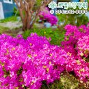 돌담요양병원 이미지